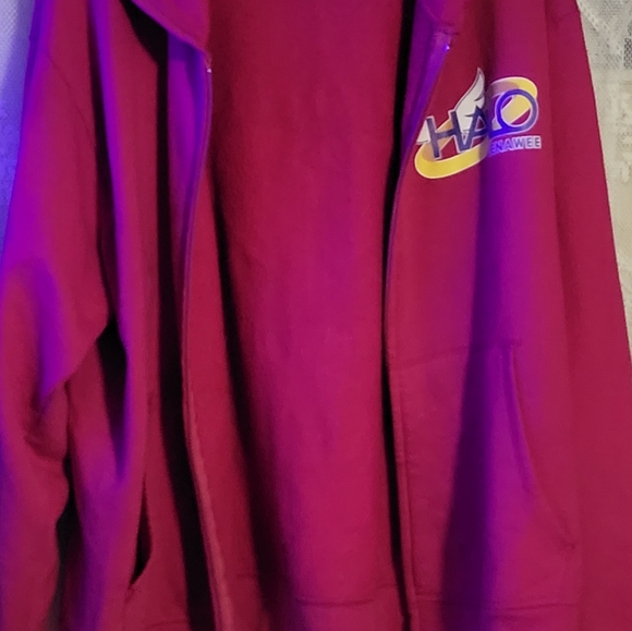 Hanes pink zip up jacket ,love the addict hate the disease - Picture 3 of 3